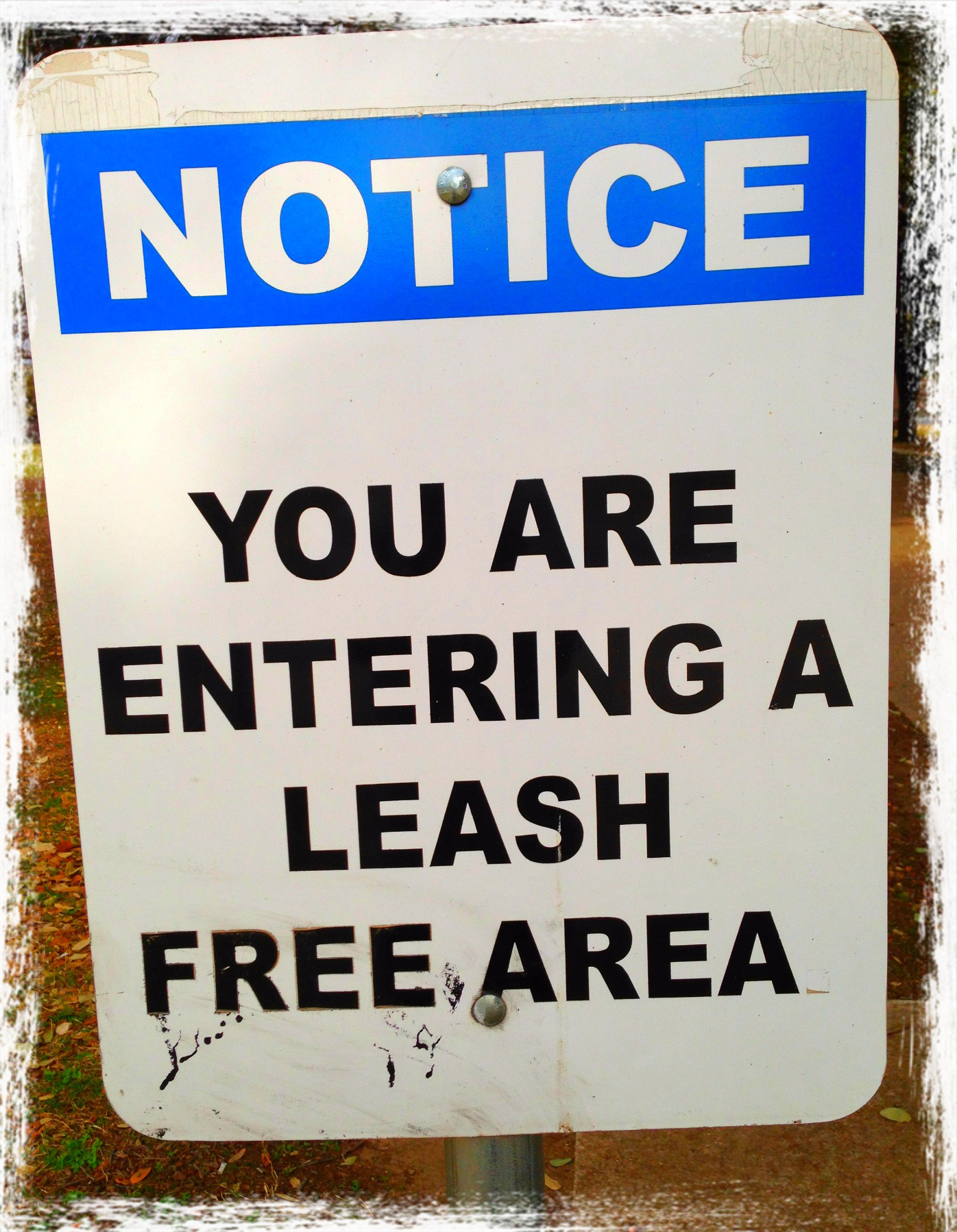 Leash free
