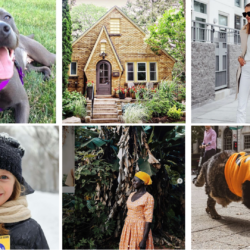 7 Insta Accounts You Can’t Miss