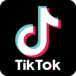 Clocking Time on the Newest App: TikTok