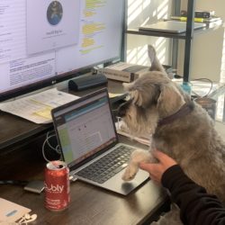 MY PUP’S IN A PANIC: 3 WAYS TO EASE THE TRANSITION BACK TO THE OFFICE