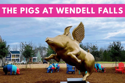 Dell the flying pig Wendell Falls