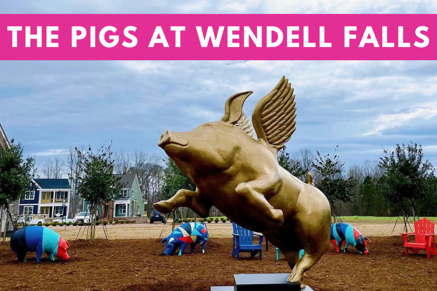 Client Spotlight: Meet Dell the Flying Pig, Wendell Falls’ Newest Resident