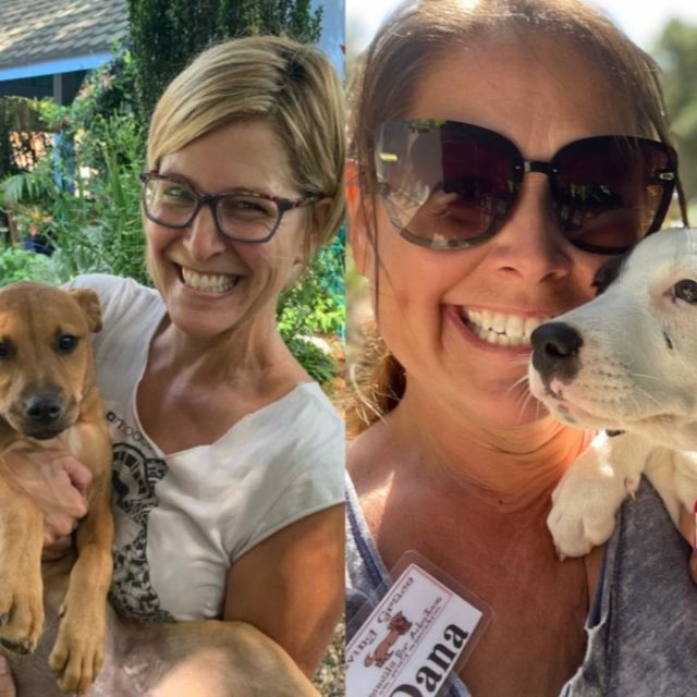 It’s National Volunteer Month, and volunteers are needed more than ever! Many organizations with scarce resources rely on volunteers and would not exist without them. Visit our recent blog post to read about the organizations Clairemont has supported and how you can make a difference in your community!